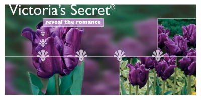 Victoria’s
Secret®