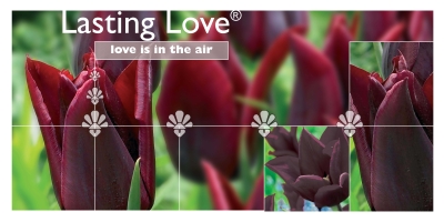 Lasting
Love®