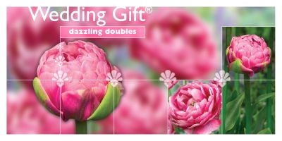 Wedding Gift®