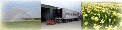 Maveridge BV