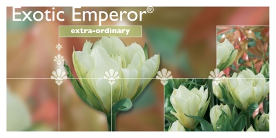 Exotic Emperor®