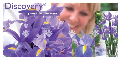 Discovery®