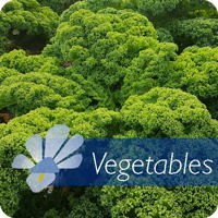 Vegetables