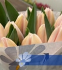 Apricot Harmony®